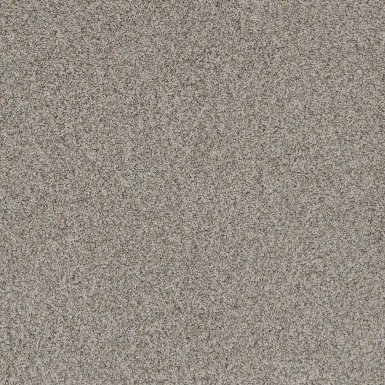 Dreamweaver Crown Garden II 2365 Carpet at Georgia Carpet for Great Value