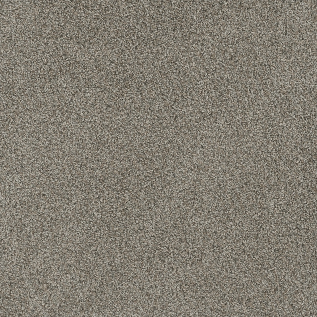 DreamWeaver Mill Creek I Carpet - Georgia Carpet