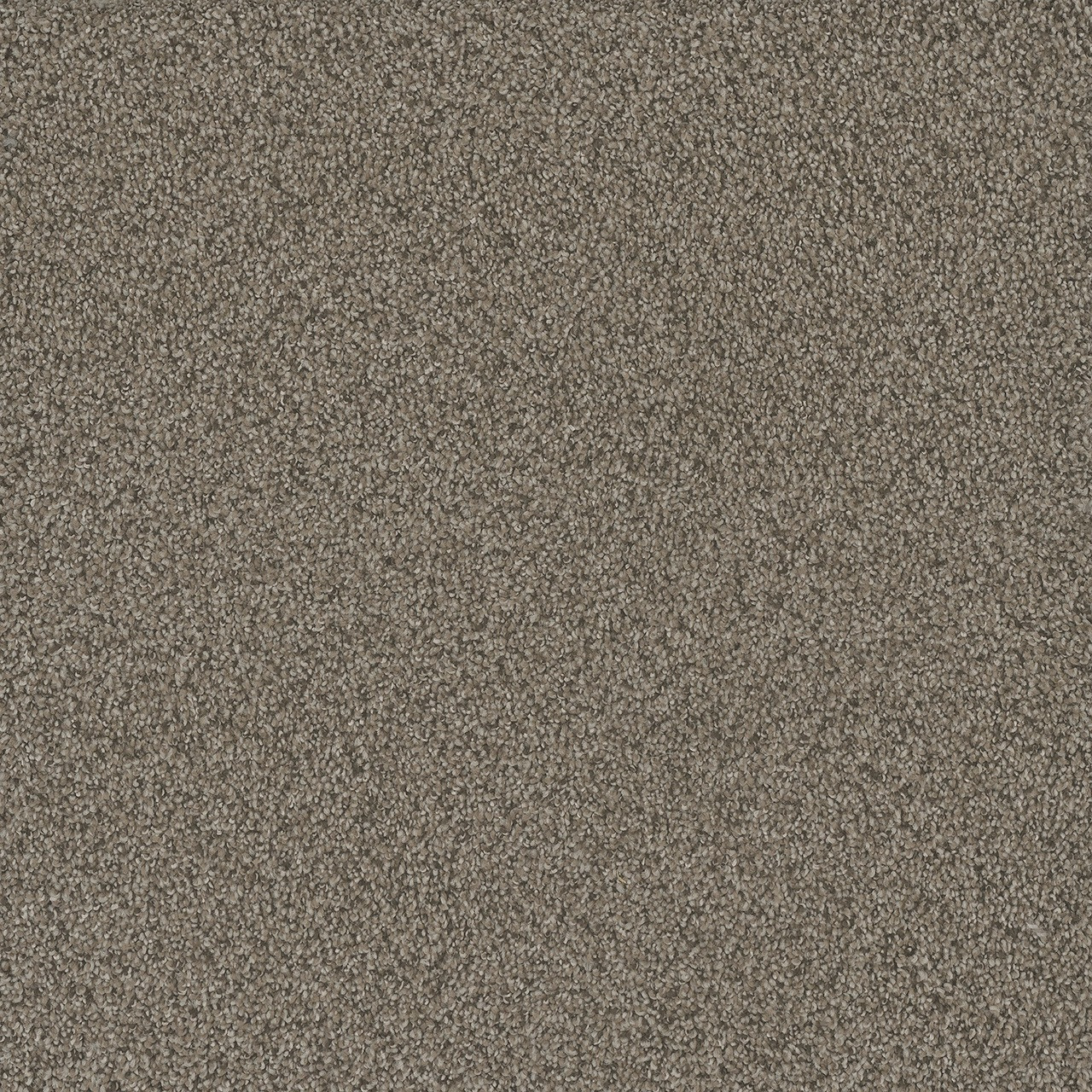高橋里華 RUN ABOUT / Endless Brightness Buy Dreamweaver No Limits I Residential Carpet at Georgia Carpet