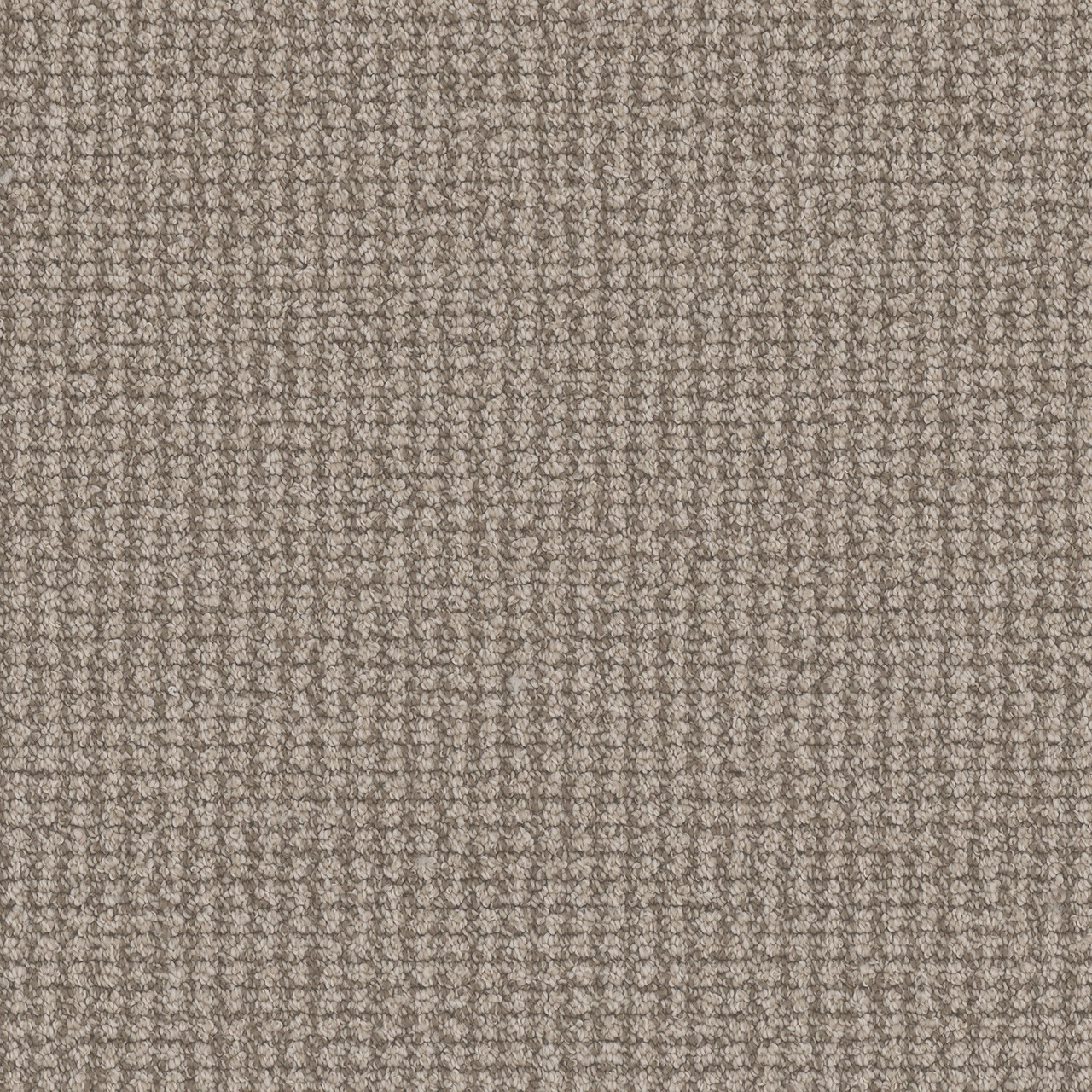 Buy Dreamweaver Mykonos 5835 Residential Carpet at Georgia Carpet