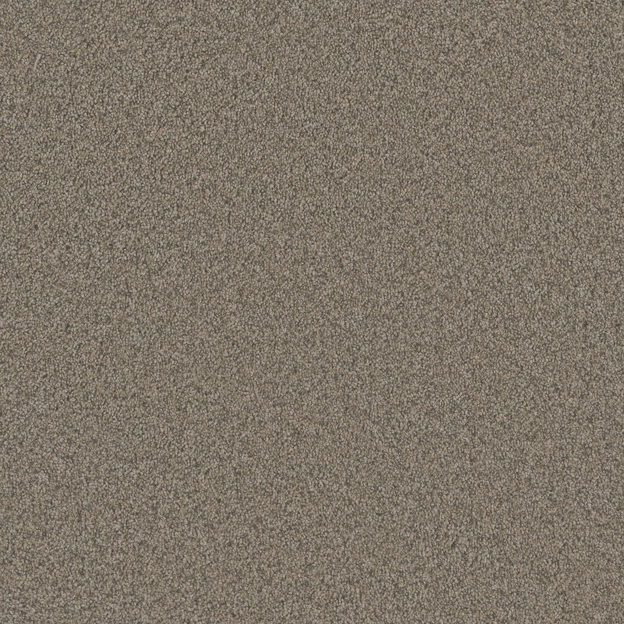 6004_Umber__09602.1666297682.