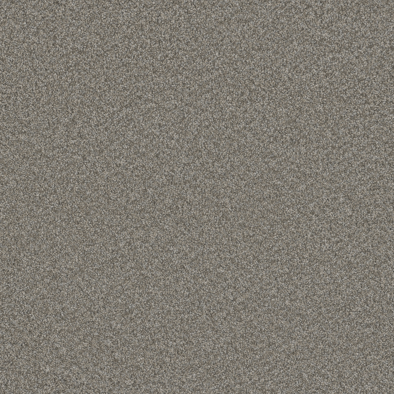 Buy Dreamweaver Blazer II 6360 Residential Carpet at Georgia