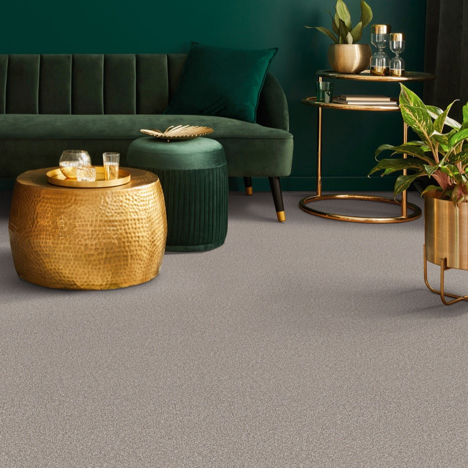 Buy Dreamweaver Blazer II 6360 Residential Carpet at Georgia