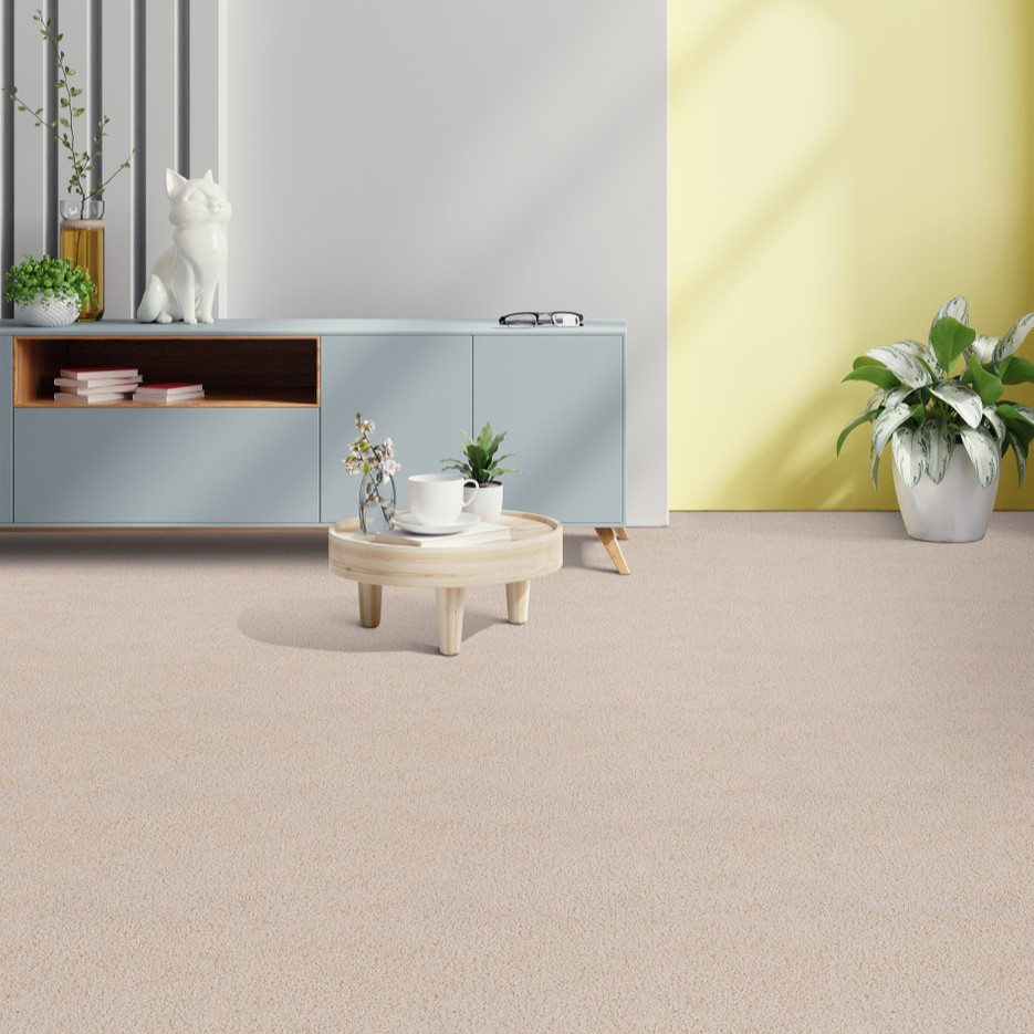 Buy Dreamweaver Hammond Creek II 2045 Residential Carpet at