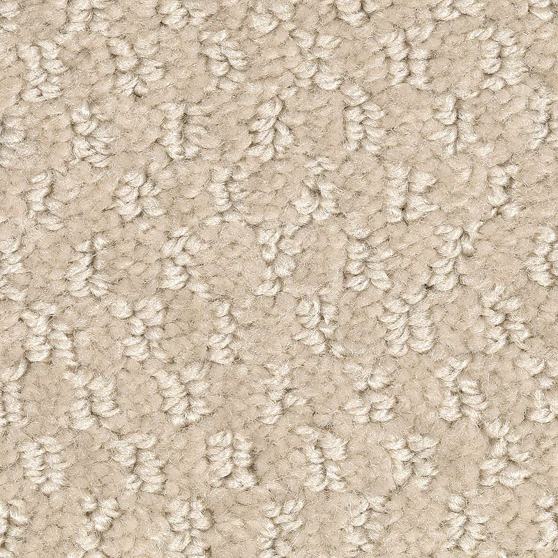 モエマス Buy Mohawk Dynamo 2F24 Residential Carpet for A Great Value