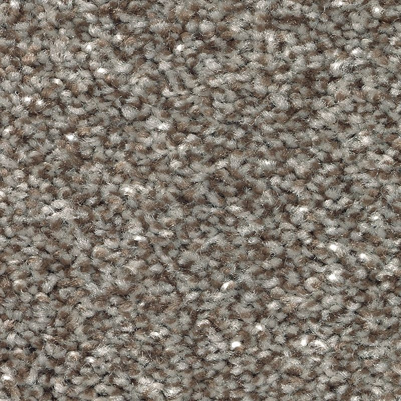 855_Nutmeg__68148.1660152163.