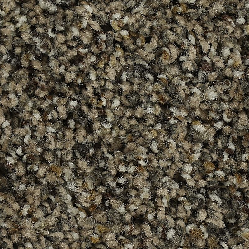 Buy Mohawk SmartStrand Captivating Outlook Online at Georgia