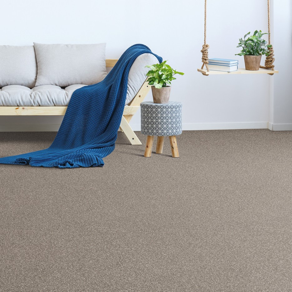 Buy Dreamweaver Titan I 4640 Carpet at Georgia Carpet for Great Value
