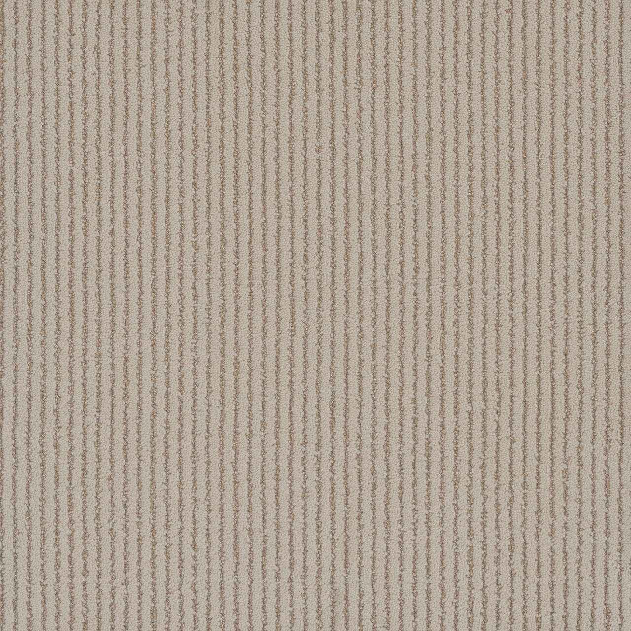 Dreamweaver Yukon 3536 Carpet at Georgia Carpet for Great Value