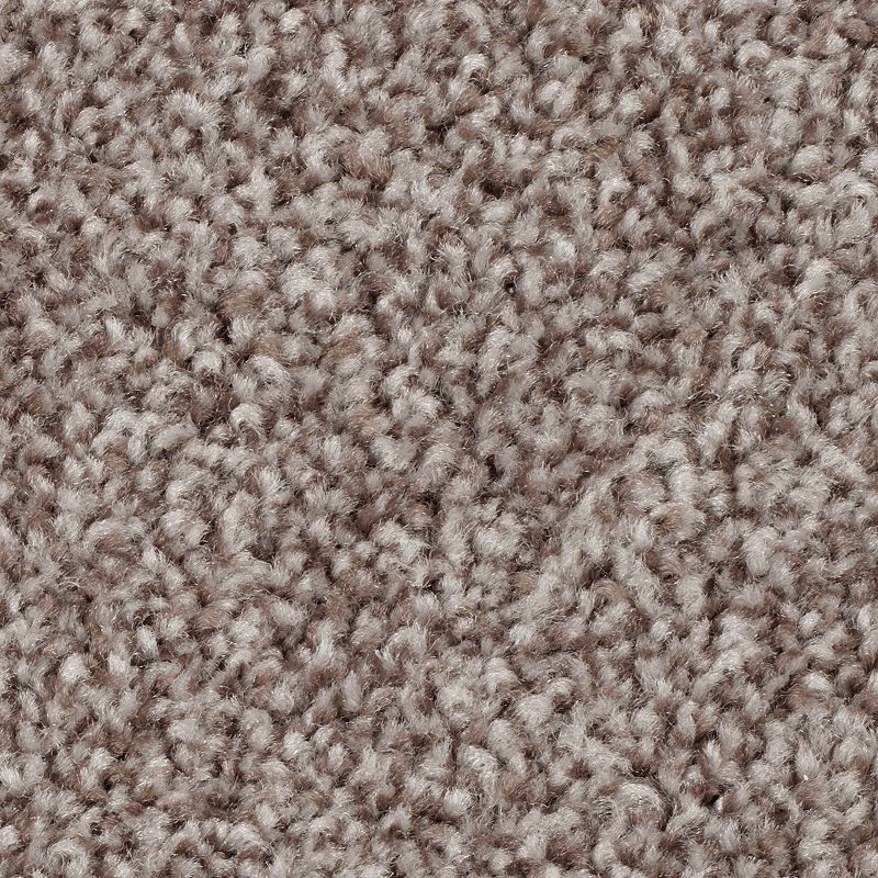 878_Bittersweet__13258.