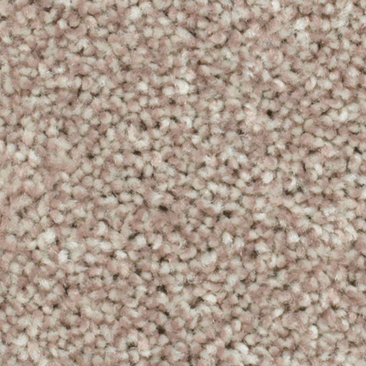 Buy Mohawk Everstrand Crestview Residential Carpet for A