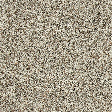 Buy Mohawk Everstrand Soft Tempo II Residential Carpet for A Great