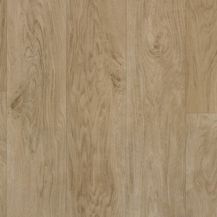 シード・オブ・フレイム　北米版　 1st　レリーフ　② 遊戯王 英語版 シード・オブ・フレイム レリーフ - メルカリ