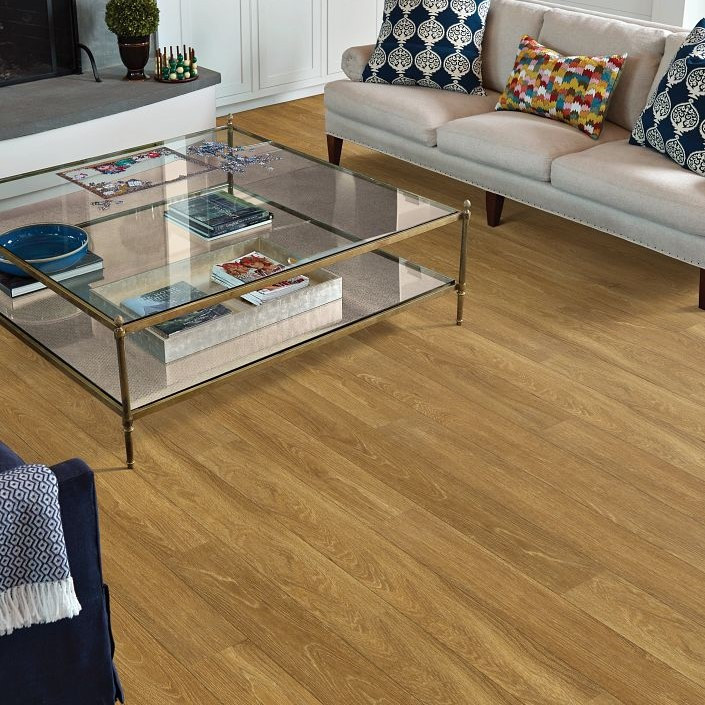 Shaw Philadelphia Sustain 20 mil LVP 5535V Glue Down | Georgia Carpet