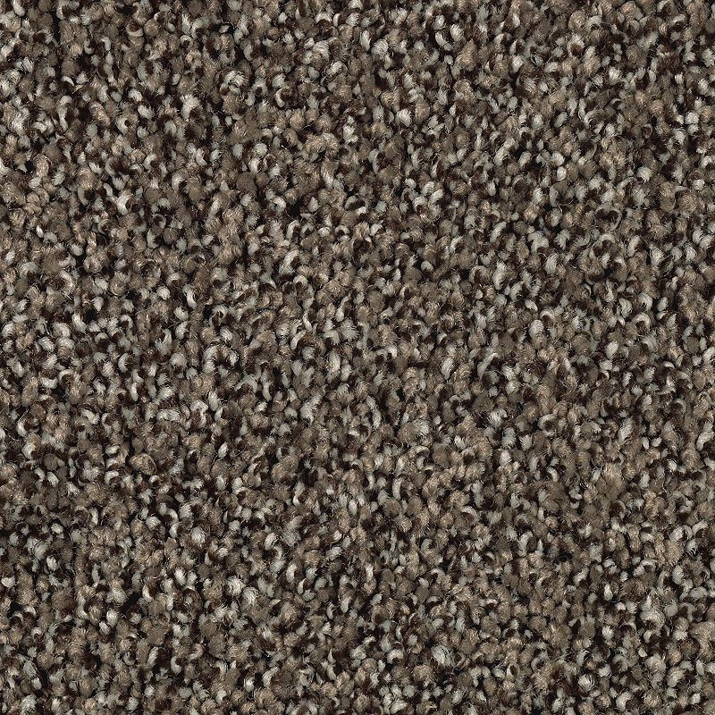 Buy Godfrey Hirst EverLux Residential Carpet for A Great Value at