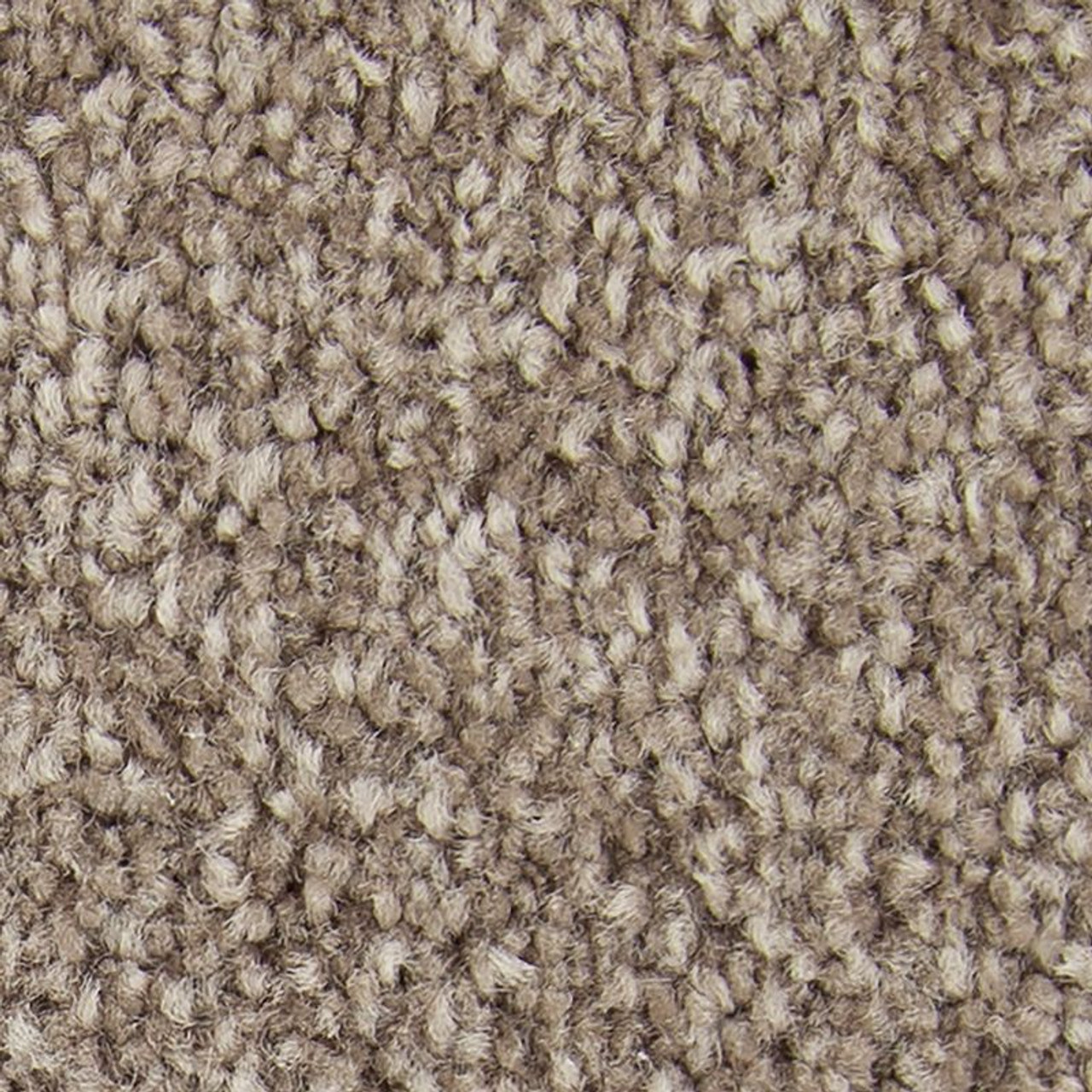 Soft Embrace Triexta Carpet - Godfrey Hirst Residential Carpet