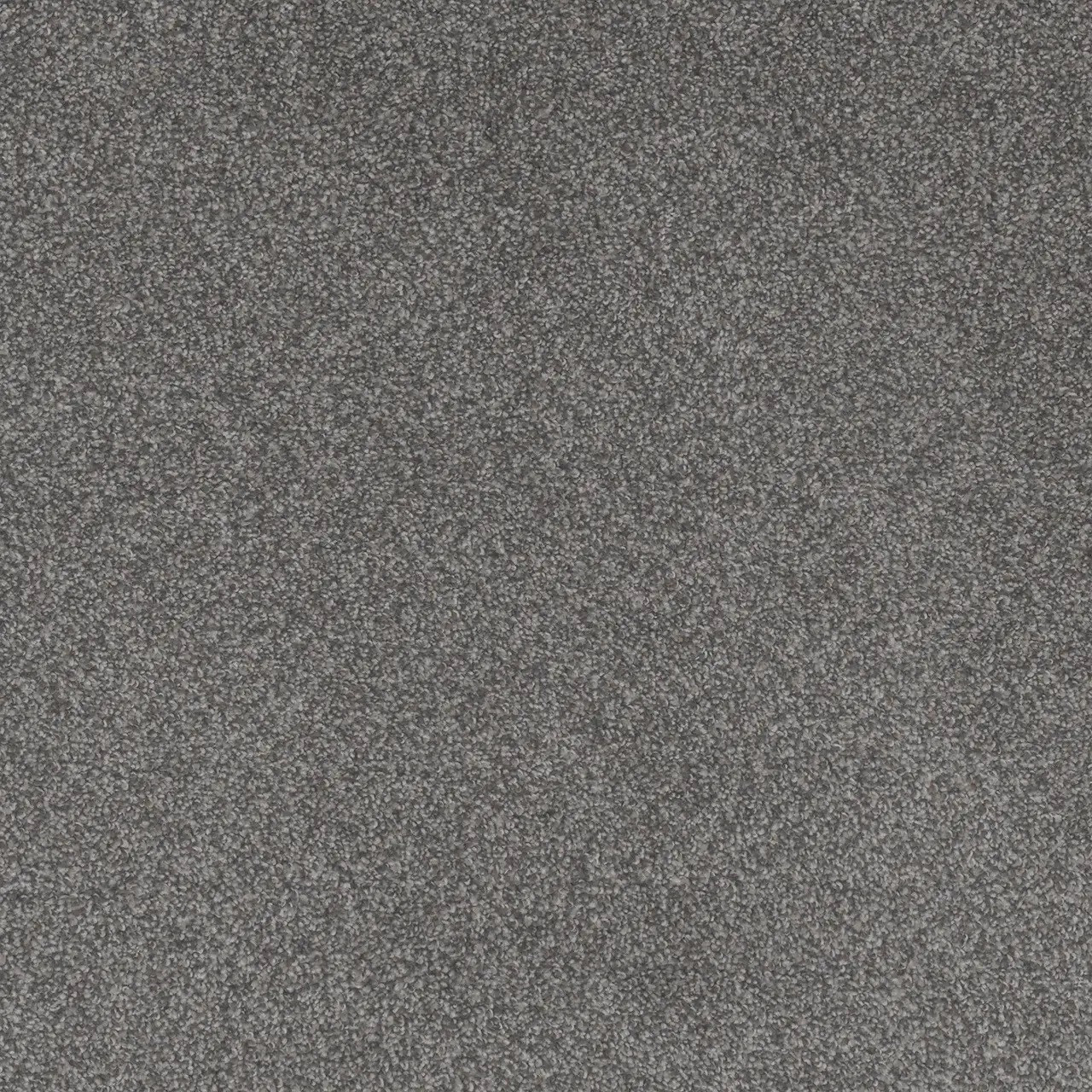 4255_Forget_Me_Not__51096.