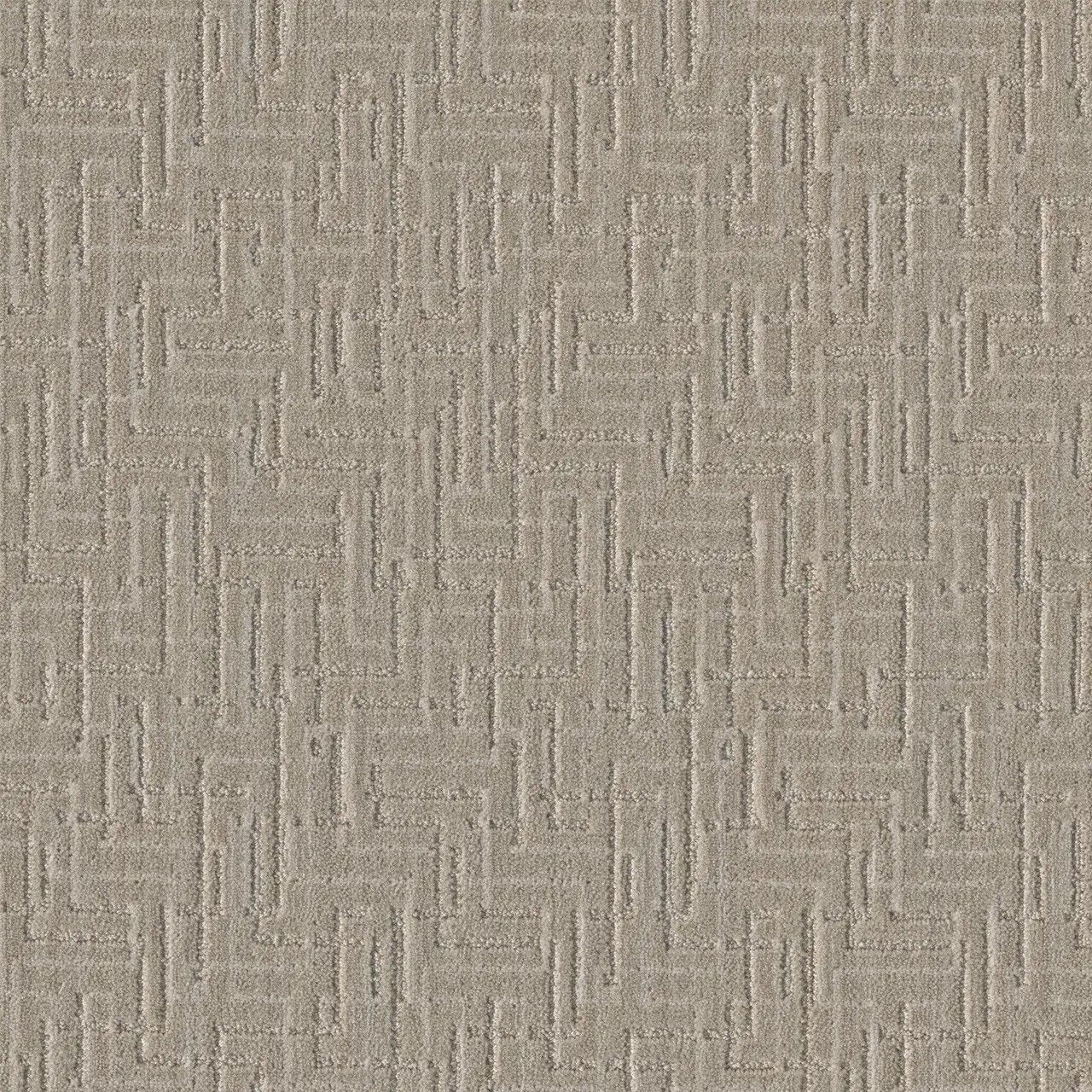 Buy DW Select Manuscript Carpet at Georgia Carpet for a Great Value