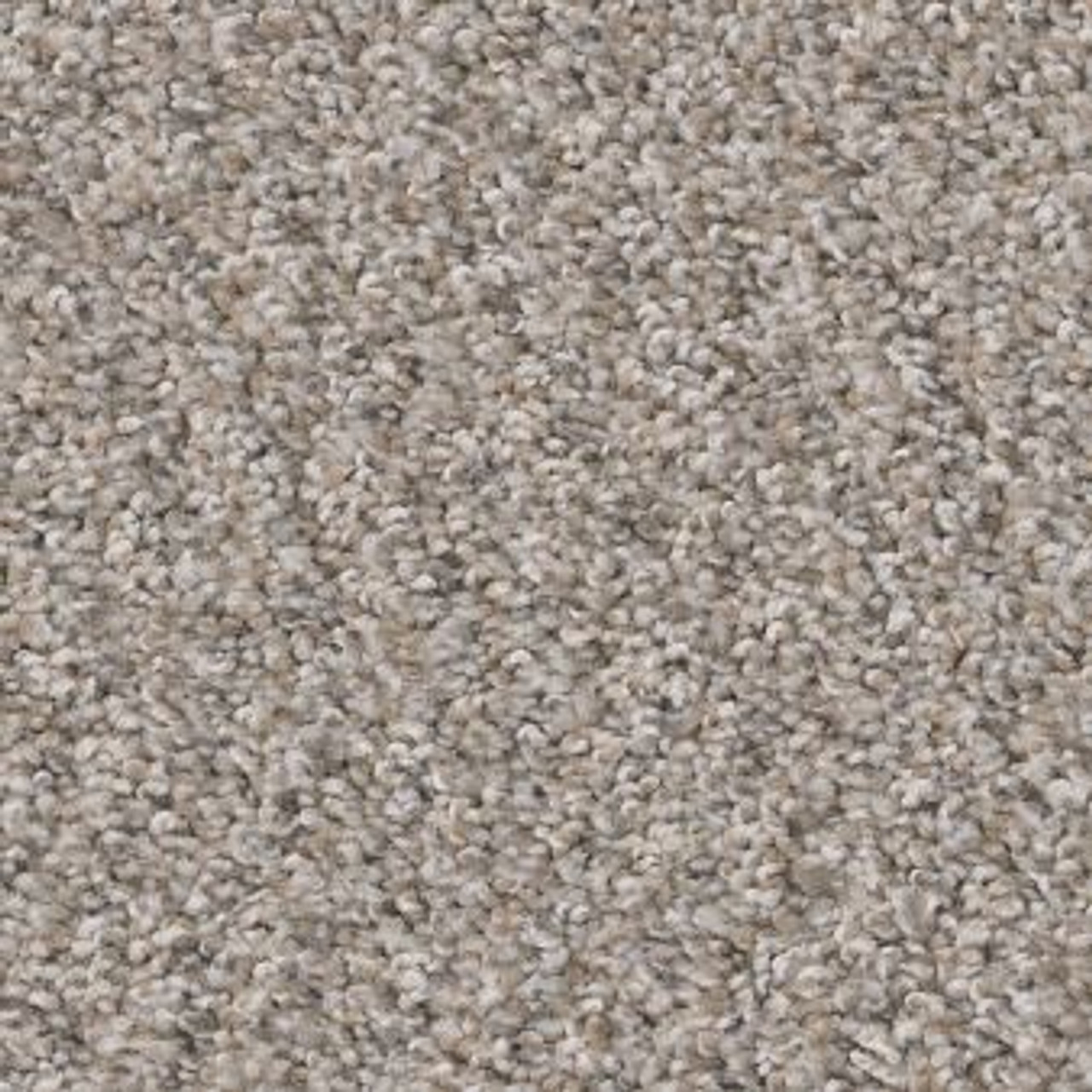 Shaw Always Right II 5E665 Residential Carpet