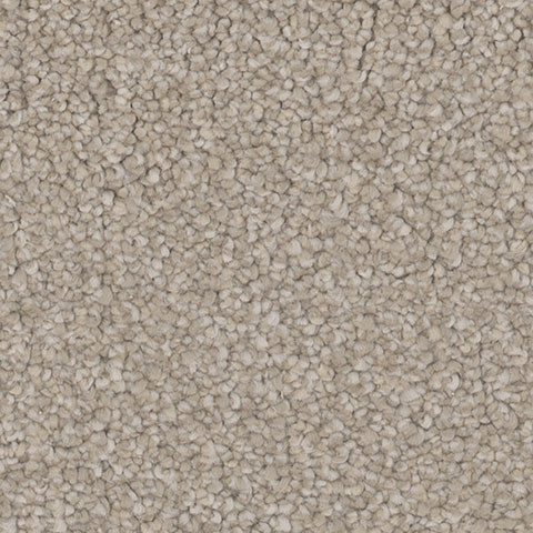 Buy Tarkett Impress Residential Carpet at Georgia Carpet for a