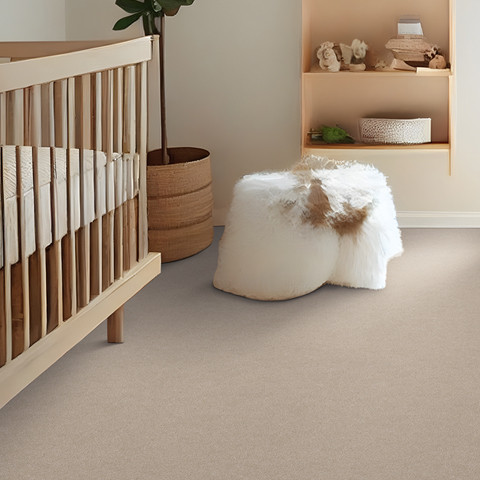 Buy Tarkett Mesmerize Residential Carpet at Georgia Carpet for a