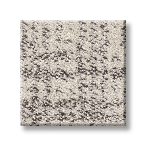 Shaw Pet Perfect Run Free 5E588 Residential Carpet is Available