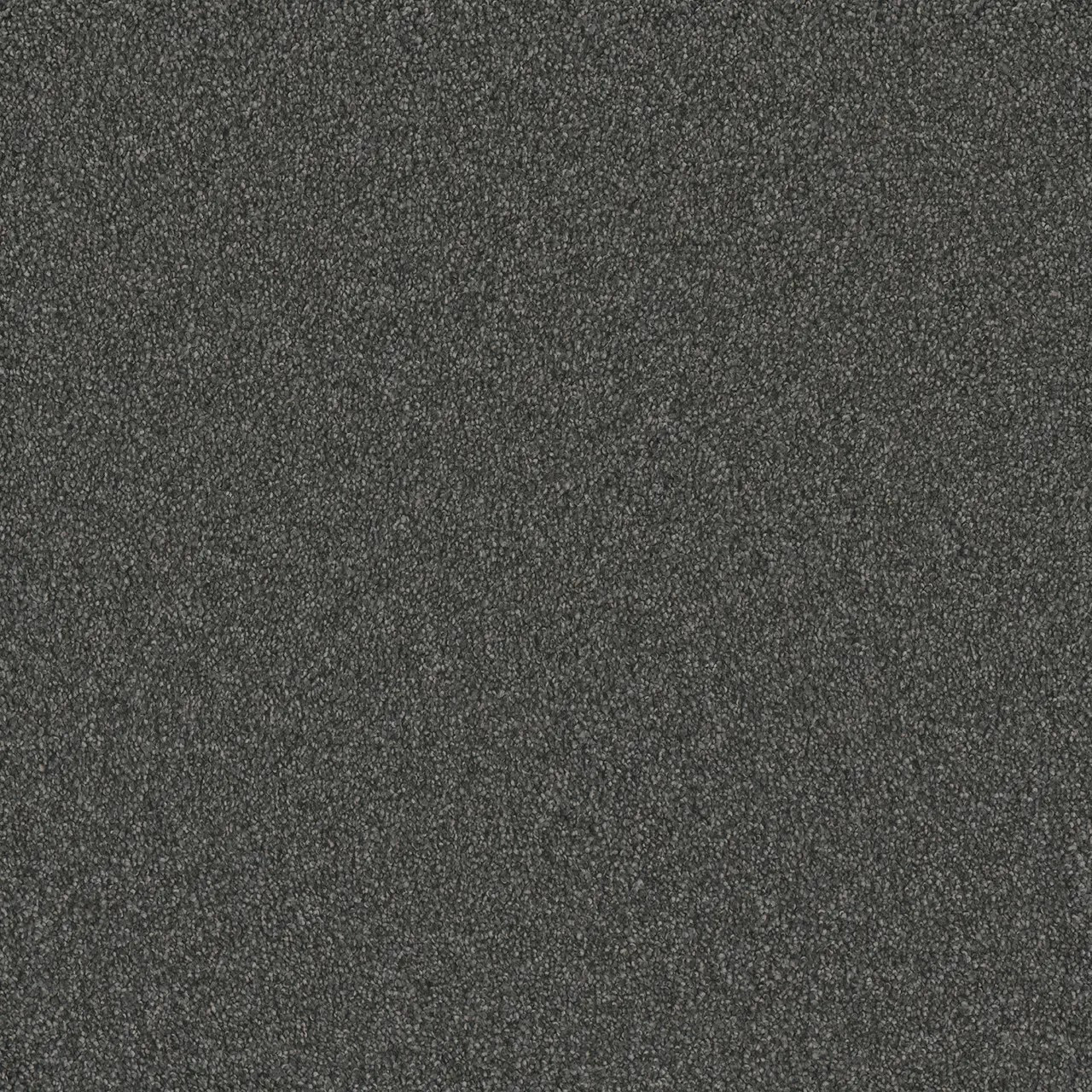 Buy Dreamweaver Silver Lining II 4533 Residential Carpet at