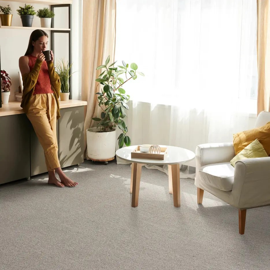 Buy Dreamweaver Silver Lining IV 7533 Residential Carpet at