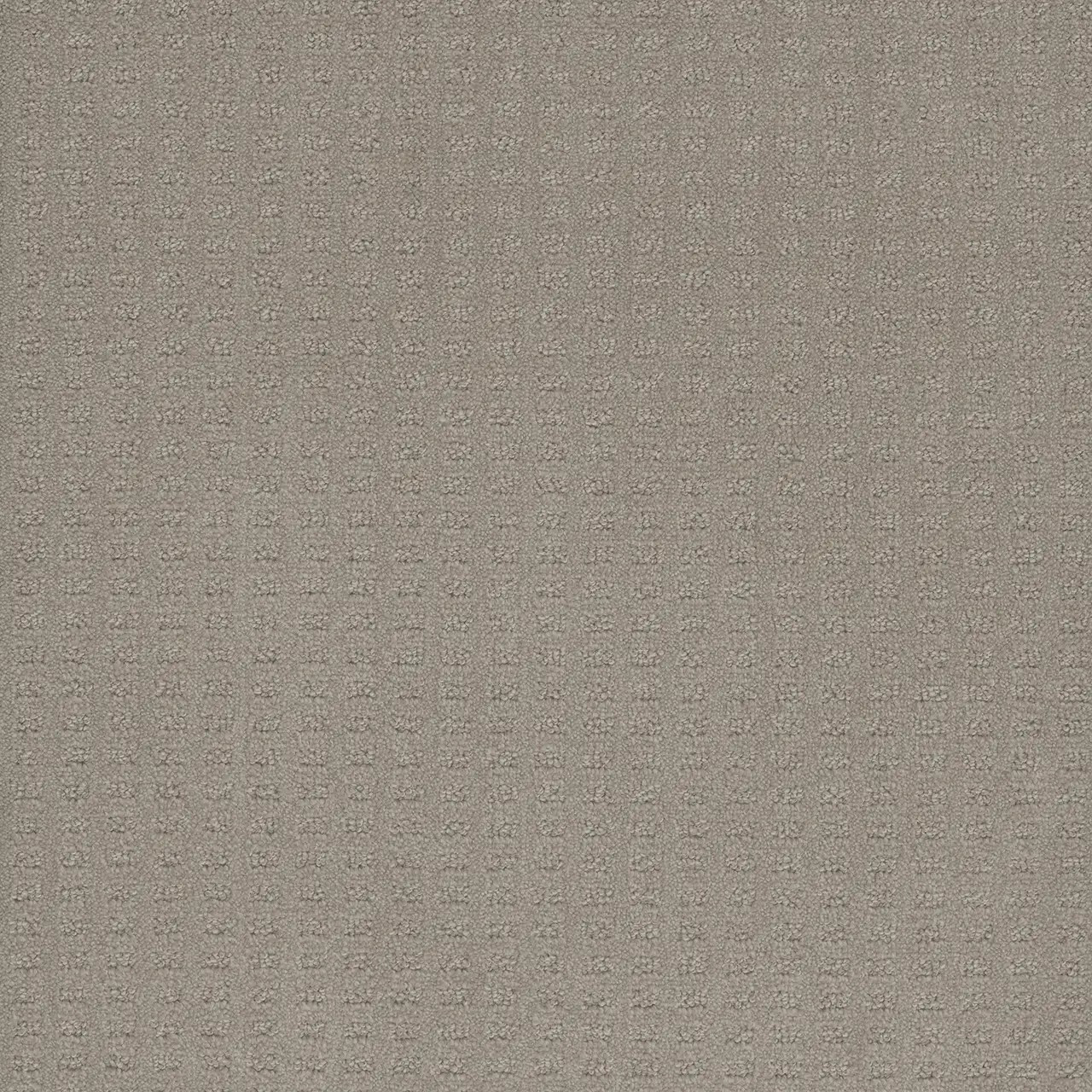 Buy Dreamweaver Superb 2225 Residential Carpet at Georgia Carpet