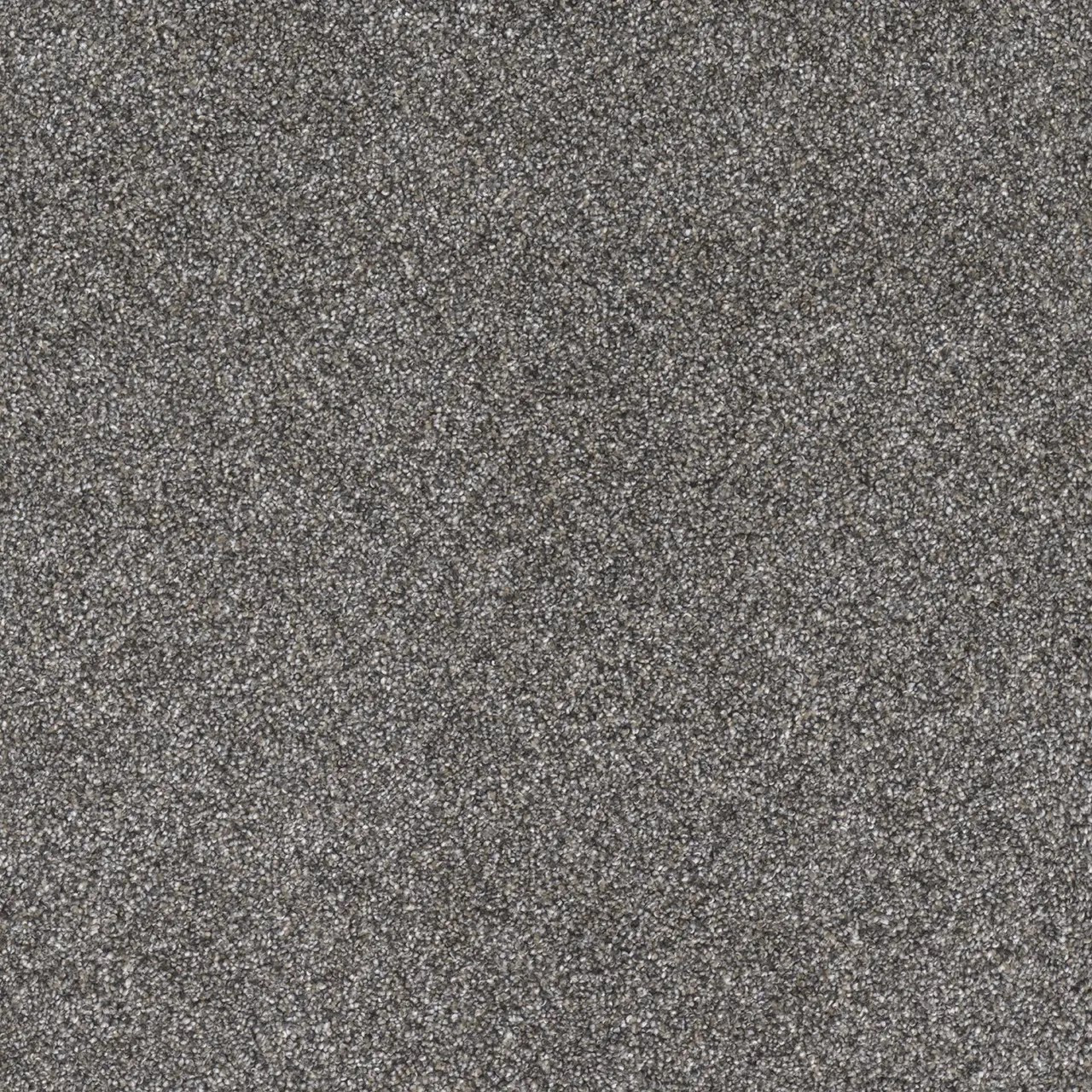 Buy Dreamweaver Gold Standard I 4046 Residential Carpet at Georgia