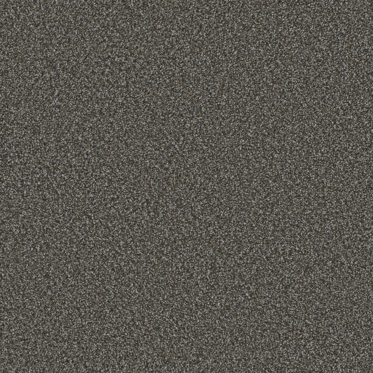 Buy Dreamweaver Metropolis II 6446 Residential Carpet at Georgia