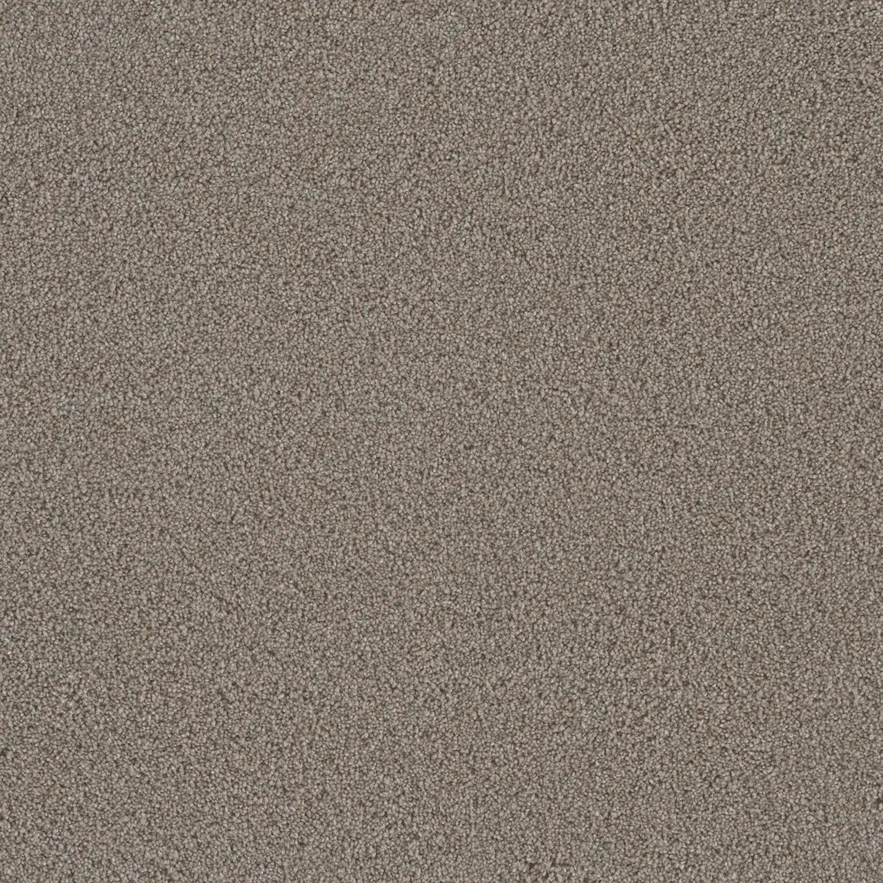 Buy Dreamweaver Metropolis III 6454 Residential Carpet at Georgia
