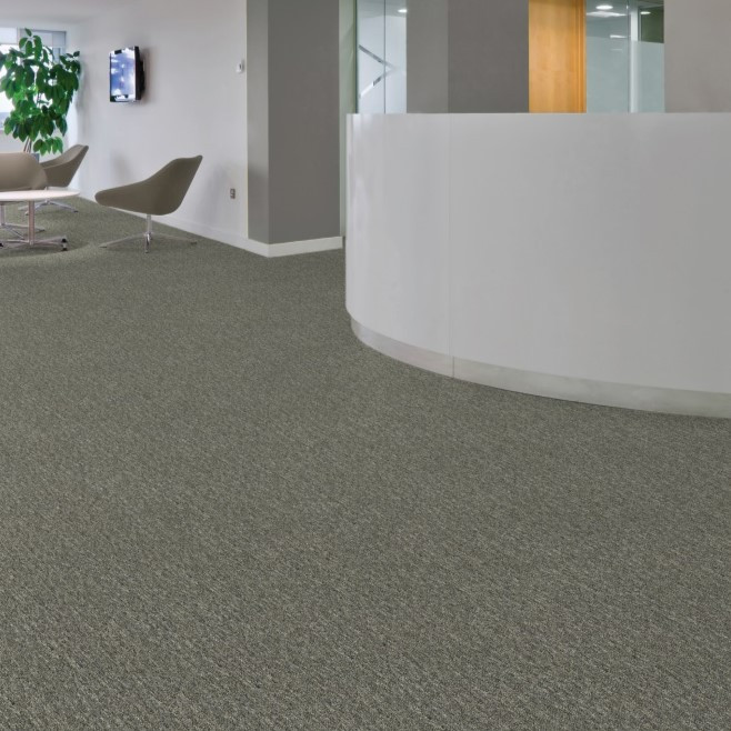 Mohawk Aladdin Rule Breaker 26 AQ93 Broadloom Carpet | Georgia Carpet