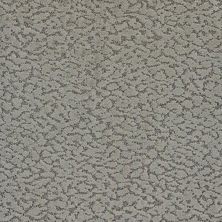 Phenix Maxwell FP025 FloorEver PetPlus Residential Carpet is