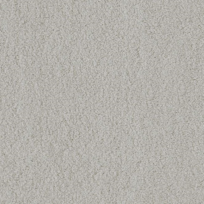 カジュッタ Anderson Tuftex Charismatic ZZ272 Residential Carpet