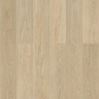 Buy Chesapeake Flooring Hemisphere Vinyl Plank at Georgia Carpet