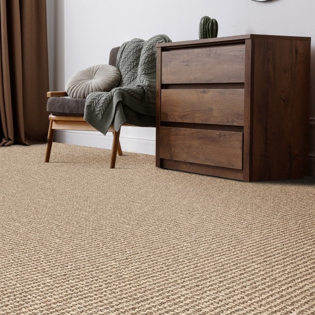 Buy Stanton Natural Wonders Monteverde Residential Carpet at