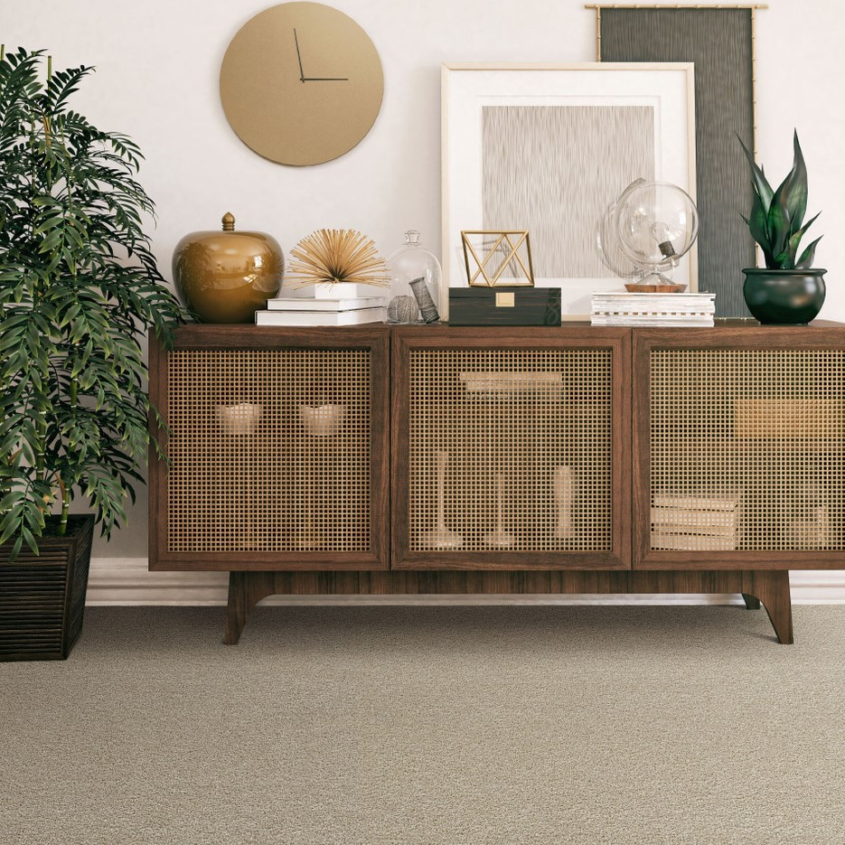 Buy Dreamweaver Captivating I 1225 Residential Carpet at Georgia