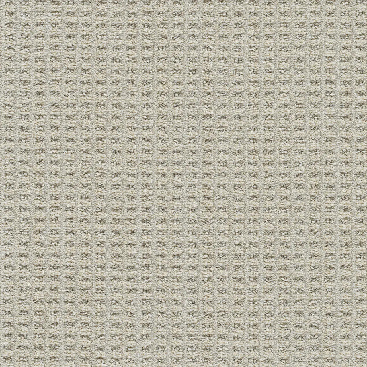 Dreamweaver Dublin II Residential Carpet at Georgia Carpet for