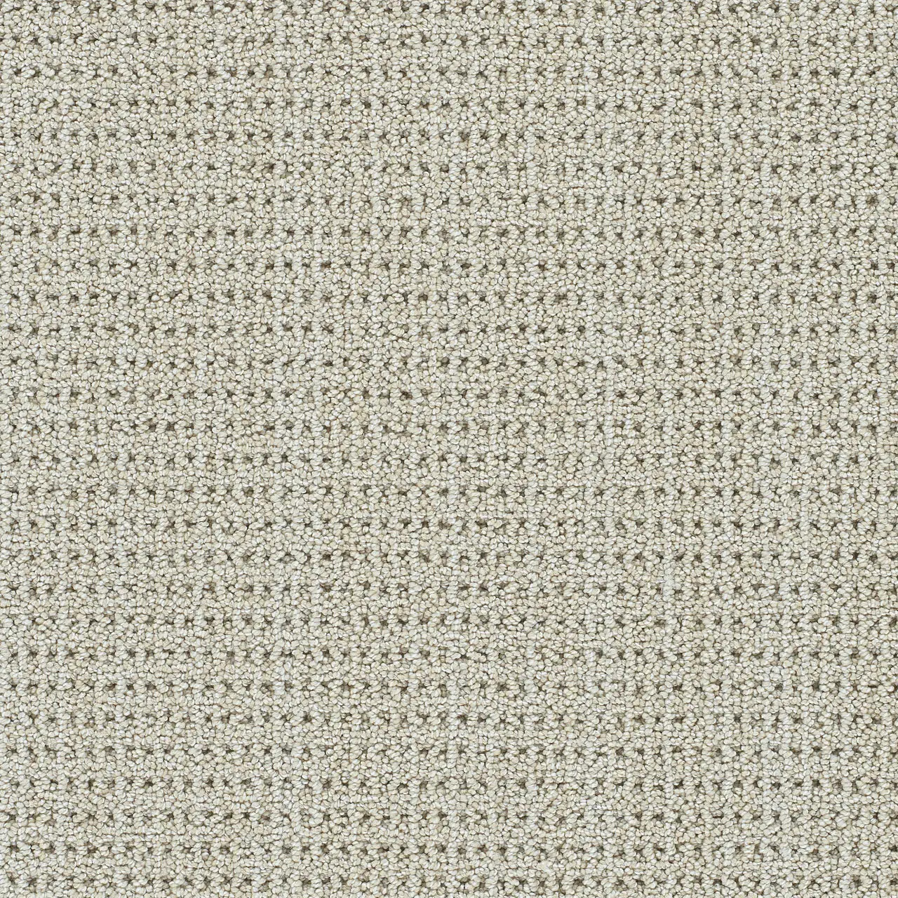 Dreamweaver Chelsea II Residential Carpet at Georgia Carpet for