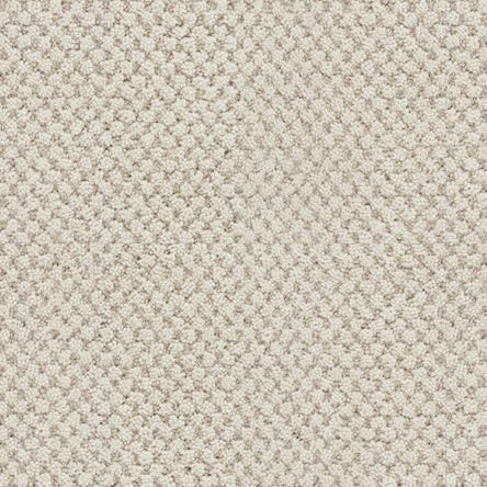Buy Masland La Parade Residential Carpet at Georgia Carpet