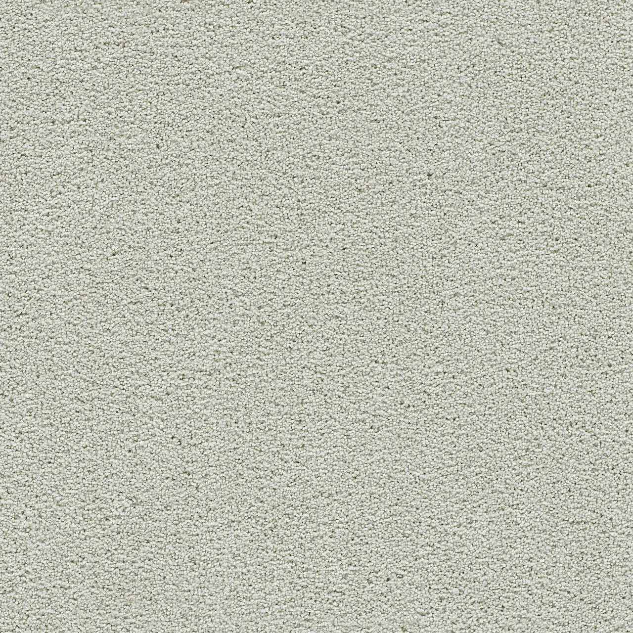 944_Snowbird__52527.1728916706