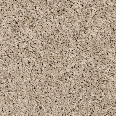 Buy Mohawk Renovate III 15' Wide 3L36 Residential Carpet for a