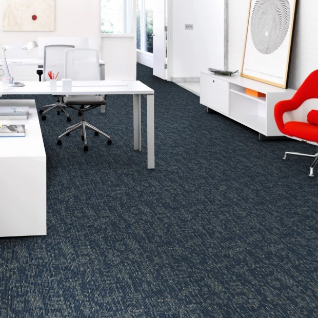 Mohawk Aladdin Here to There 24