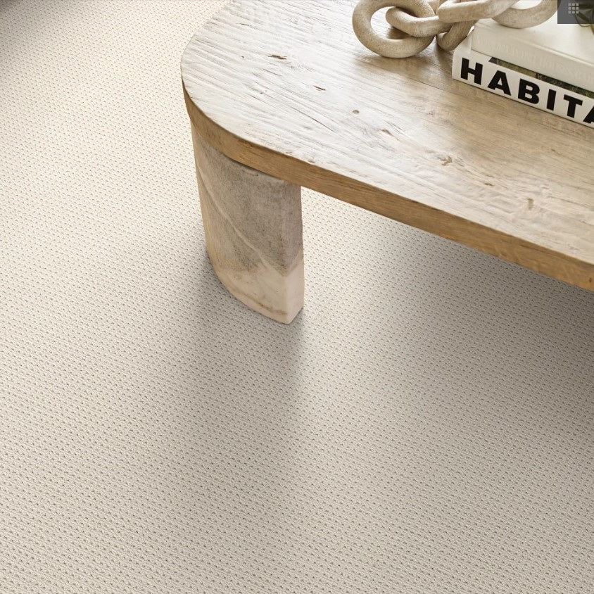 アーケスヴェーラファンデーション Buy Shaw San Antonio 5E829 Broadloom Residential Carpet at Georgia