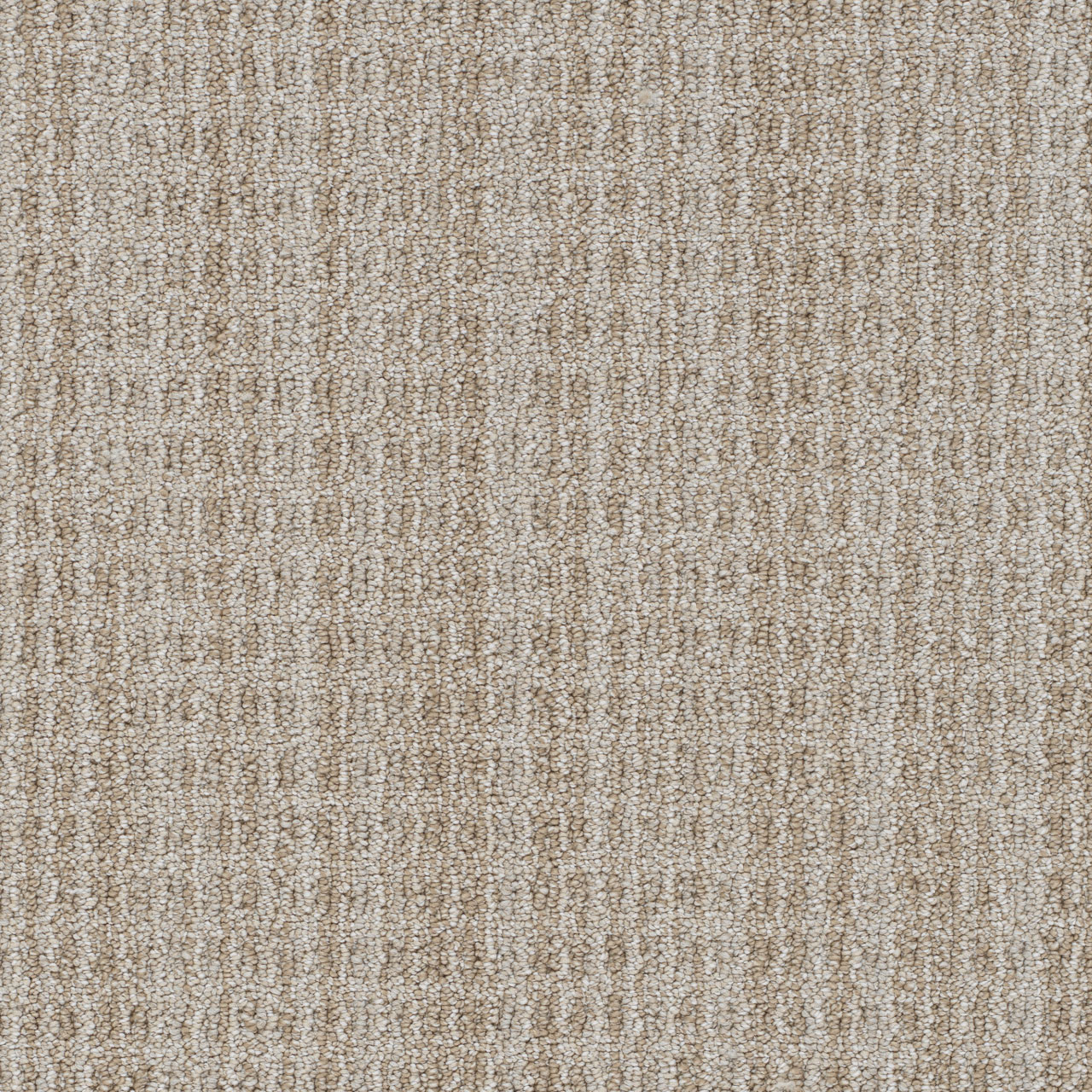 Buy DW Select Windsor Carpet at Georgia Carpet for a Great Value
