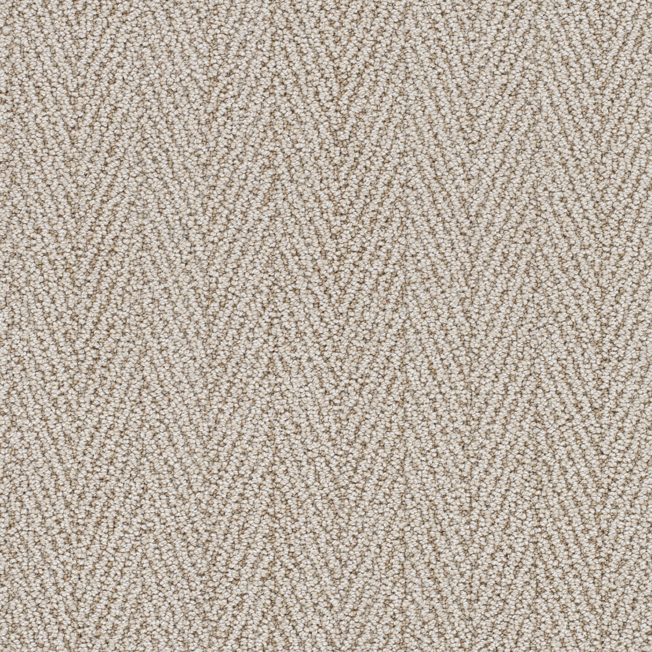 Buy DW Select San Lucas II Carpet at Georgia Carpet for a Great Value