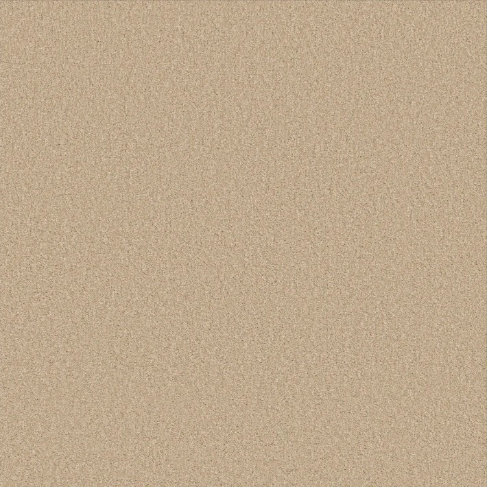 Shaw Floors Soft Surface Texture Carpet ‚Äì Made in USA | Georgia