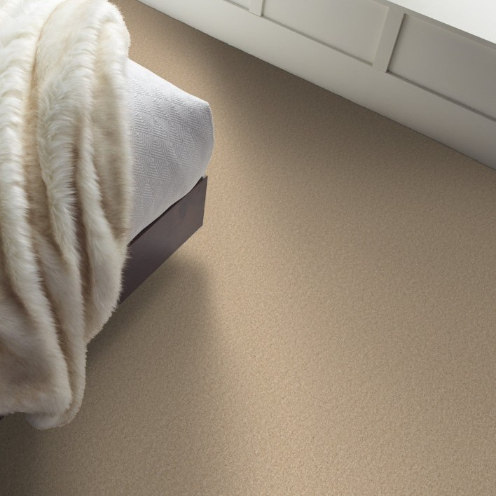 Shaw Floors Soft Surface Texture Carpet ‚Äì Made in USA | Georgia