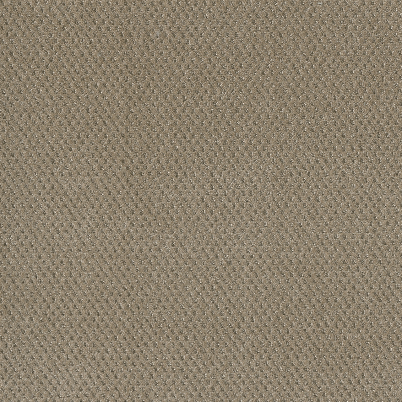 Dreamweaver Prime Patterned Polyester Carpet | Georgia Carpet